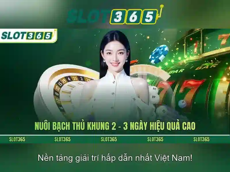 Slot365: Nền tảng máy xèng trực tuyến phổ biến