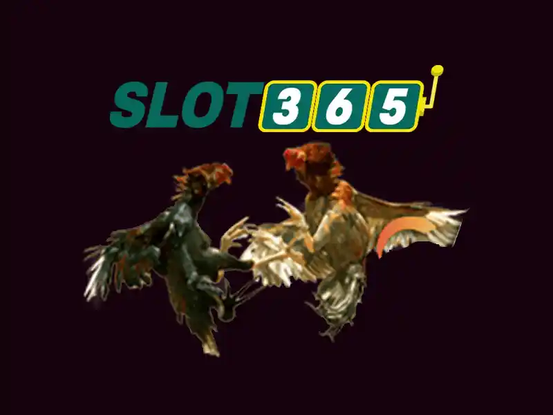 rtp slot365 – Khởi nguồn từ rtp slot365 – sứ mệnh và ý nghĩa