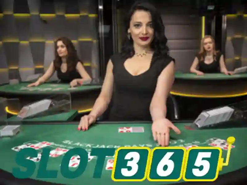 Tại sao chọn Slot365?