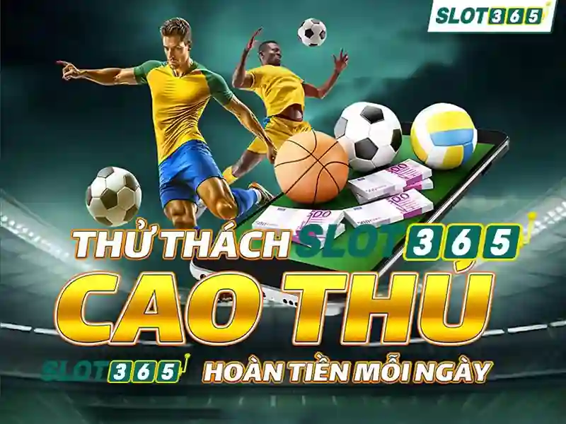 Nền tảng và trải nghiệm người dùng\n