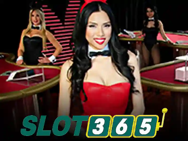 slot365 apk – tổng quan chủ đề và giá trị cốt lõi